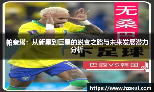 芒果体育直播官网